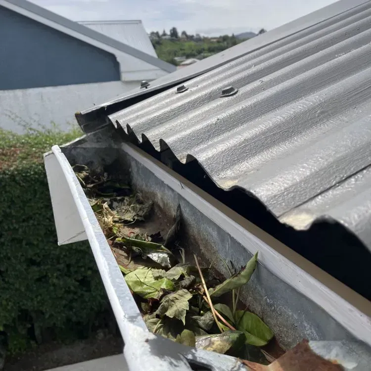 Before: gutter filled with leaves and debris before clearing on a home in Bradford, Dunedin.