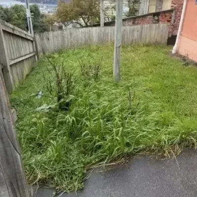 Before: Overgrown grass and long growth on a residential section in St Clair, Dunedin.