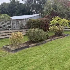 After: Bushes perfectly shaped and trimmed in Rosyln.