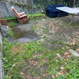 Before: Weed-covered brick courtyard before weed removal service in North Dunedin.