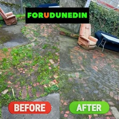 Before & After: Courtyard weed removal transformation showing cleaned brick paving in North Dunedin.