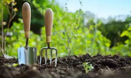 Trowel and garden fork in fresh soil, highlighting responsible garden maintenance in Dunedin.