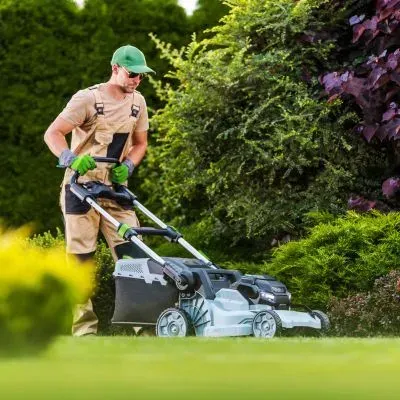 Council-compliant lawn mowing carried out with appropriate equipment and safe working practices in Dunedin.
