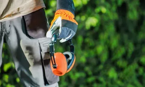 Council-compliant yard maintenance showing safe equipment use under Dunedin City Council guidelines.