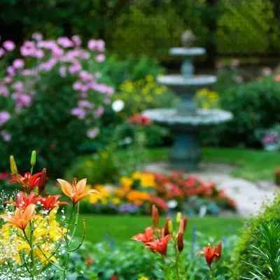 A beautiful garden, encouraging new clients to book online or call us to organise garden maintenance services.