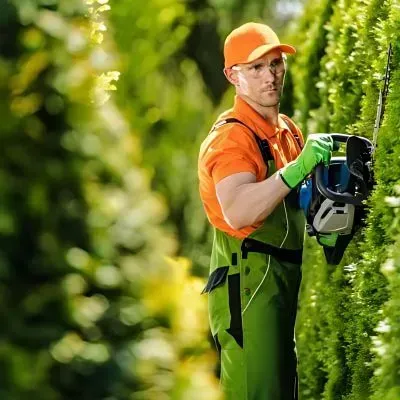 Gardener trimming roadside vegetation to maintain clear visibility along a Dunedin footpath.