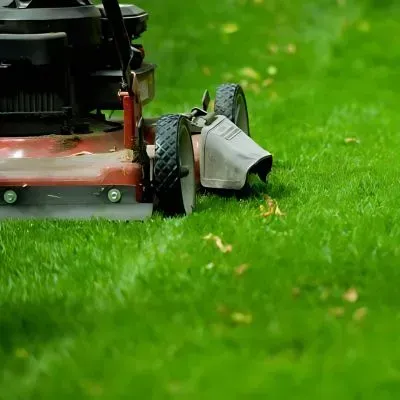 Lawn maintenance equipment is used during permitted daytime hours in line with Dunedin City Council noise guidelines.