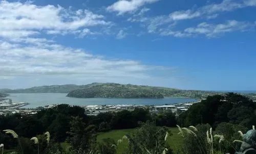 Dunedin Harbour and hillside landscape showing local climate, terrain, and outdoor property care conditions.
