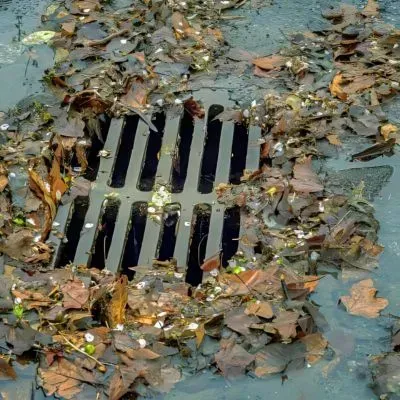 Leaves and debris are blocking a stormwater drain, highlighting the importance of proper green waste disposal in Dunedin.