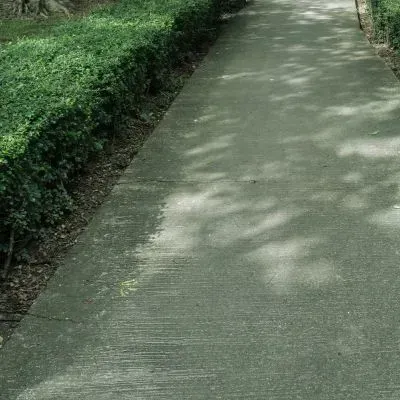 Maintained boundary hedge along a Dunedin footpath, ensuring clear pedestrian access and visibility.