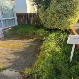 Before: Overgrown grass and vegetation beside a front driveway in South Dunedin.