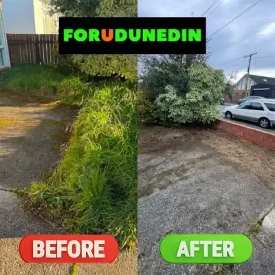 Before & After: Front section clean-up beside a driveway in South Dunedin.