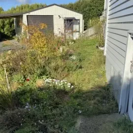 Before: Garden care and backyard green waste clean up, St Clair, Dunedin.