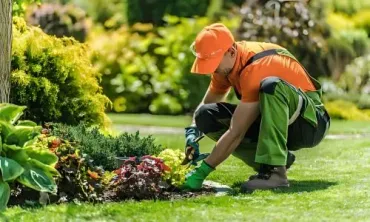 Garden maintenance in Māori Hill. Pruning flowers for a local client.