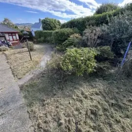 After: Garden management and property clean up, St Clair.