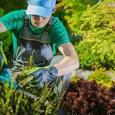 FORUDUNEDIN Gardener maintaining a residential garden in Dunedin.