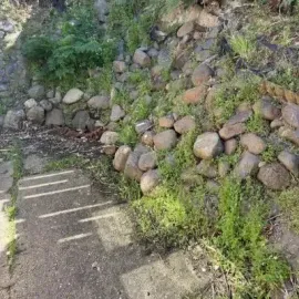 Before: Weed removal and clearance from the rock wall, Roslyn, Dunedin.