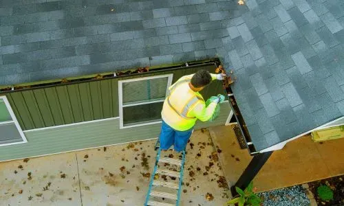 Gutter cleaning on a single-level home in Dunedin showing debris removal and typical service conditions.