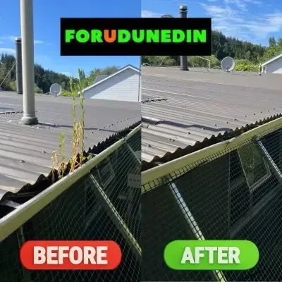 Before & After: Grass and weeds removed from roof gutters, leaving clean, clear gutters. Sunnyvale, Dunedin.
