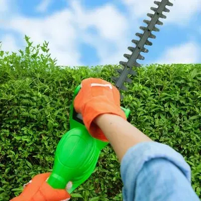 Gardener trimming tall hedge in Dunedin, showing factors that influence hedge maintenance pricing.