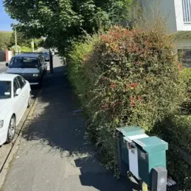 Before: Overgrown roadside hedges needing trimming and shaping in Roslyn, Dunedin.