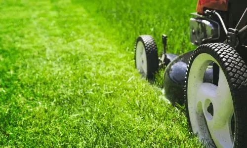 A lawn care professional cutting the turf in Concord.