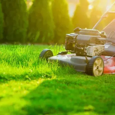 A mower, mowing a Dunedin lawn, relating to lawn mowing prices.