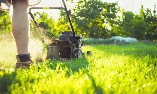 Lawn mowing services are taking place in Three Mile Hill, Dunedin.