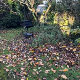 Before: Garden area covered with fallen leaves and light vegetation before yard clean-up in Mornington