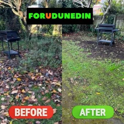 Before & After: Leaf removal and yard clean-up transformation completed in Mornington, Dunedin.