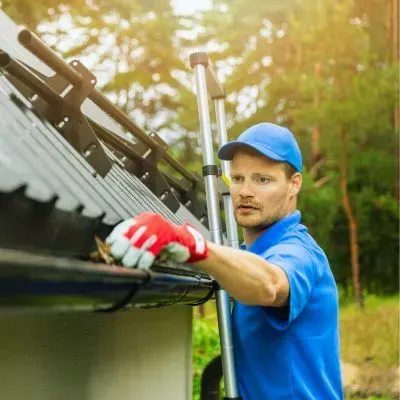 A worker safely cleans a one-storey gutter using a ladder, showing low-height roofline access in Dunedin.