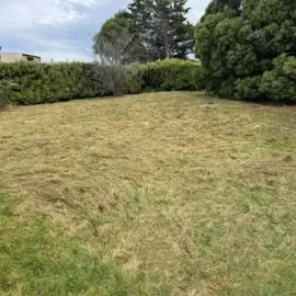 After: Overgrown lawn mowed down across a Brockville, Dunedin property.
