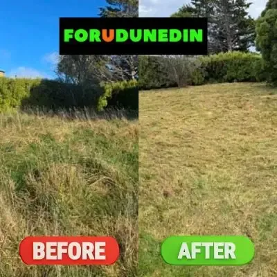 Before & After: Overgrown lawn mowing at a Brockville, Dunedin property.