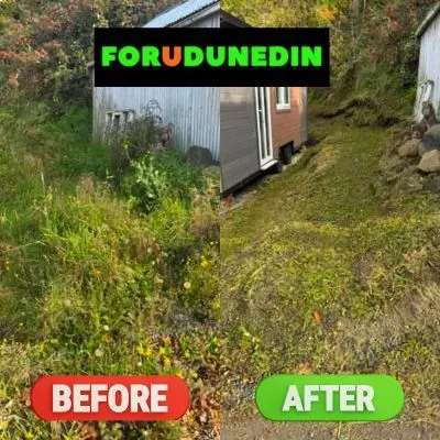 Before & After: Overgrown section clean-up showing vegetation removal on Maitland Street, Dunedin.