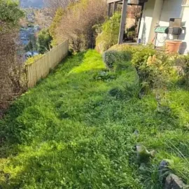 Before: Overgrown grass and vegetation across a sloped yard in Waverley, Dunedin.