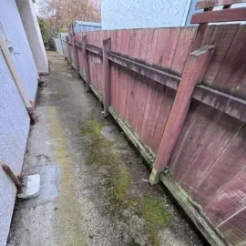 After: Side path cleared of weeds and vegetation at a South Dunedin property.