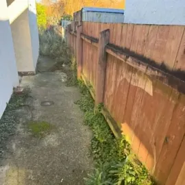 Before: Weeds and vegetation growing along a side path in South Dunedin.