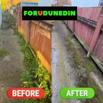Before & After: Path weed and vegetation removal at a South Dunedin property.