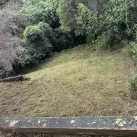 After: Lawn mowing and backyard tidy up in North Dunedin.