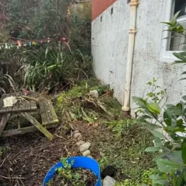 Before: Overgrown garden bed and outdoor area beside a residential property.