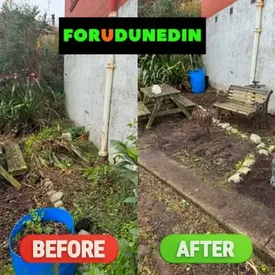 Before & After: Garden clean-up beside a residential property.