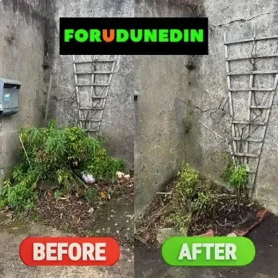 Before & After: Garden tidy-up of an area behind a client's residential home in North Dunedin, Dunedin.