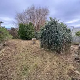 After: Section cleared and trees trimmed at a St Kilda, Dunedin property.