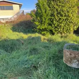 Before: Overgrown section with long grass and vegetation at a St Kilda, Dunedin property.