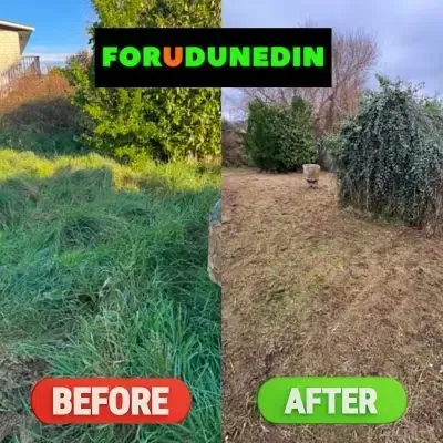 Before & After: Section clean-up and tree trimming at a St Kilda, Dunedin property.