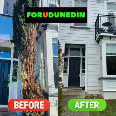 Before & After: Small tree removed from beside the front entrance of a St Clair, Dunedin home.