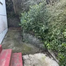 Before: Small tree and bush removal from the side of a residential home in St. Clair, Dunedin.