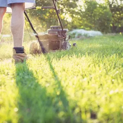 A mower, mowing a lawn in Dunedin City. Stating that we do not provide lawn cutting services in Mosgiel.