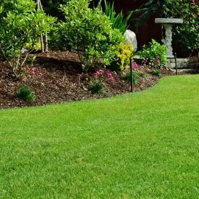 Neatly cleared lawn and garden after a section tidy in Dunedin, showing a property brought back under control.
