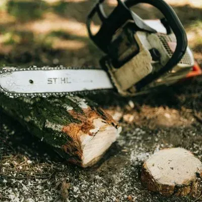 Tree removal cost guide for small to medium tree clearance in Dunedin, Otago.